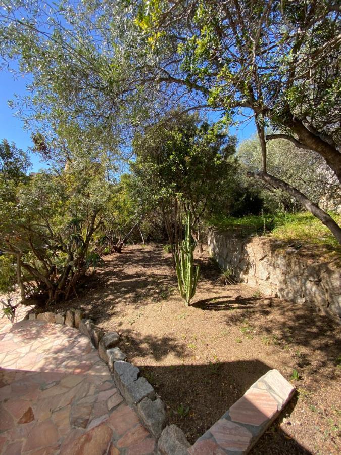 Villa Cote Plage Ajaccio  Zewnętrze zdjęcie